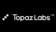 Topaz labs video production logo
