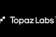 Topaz labs video production logo